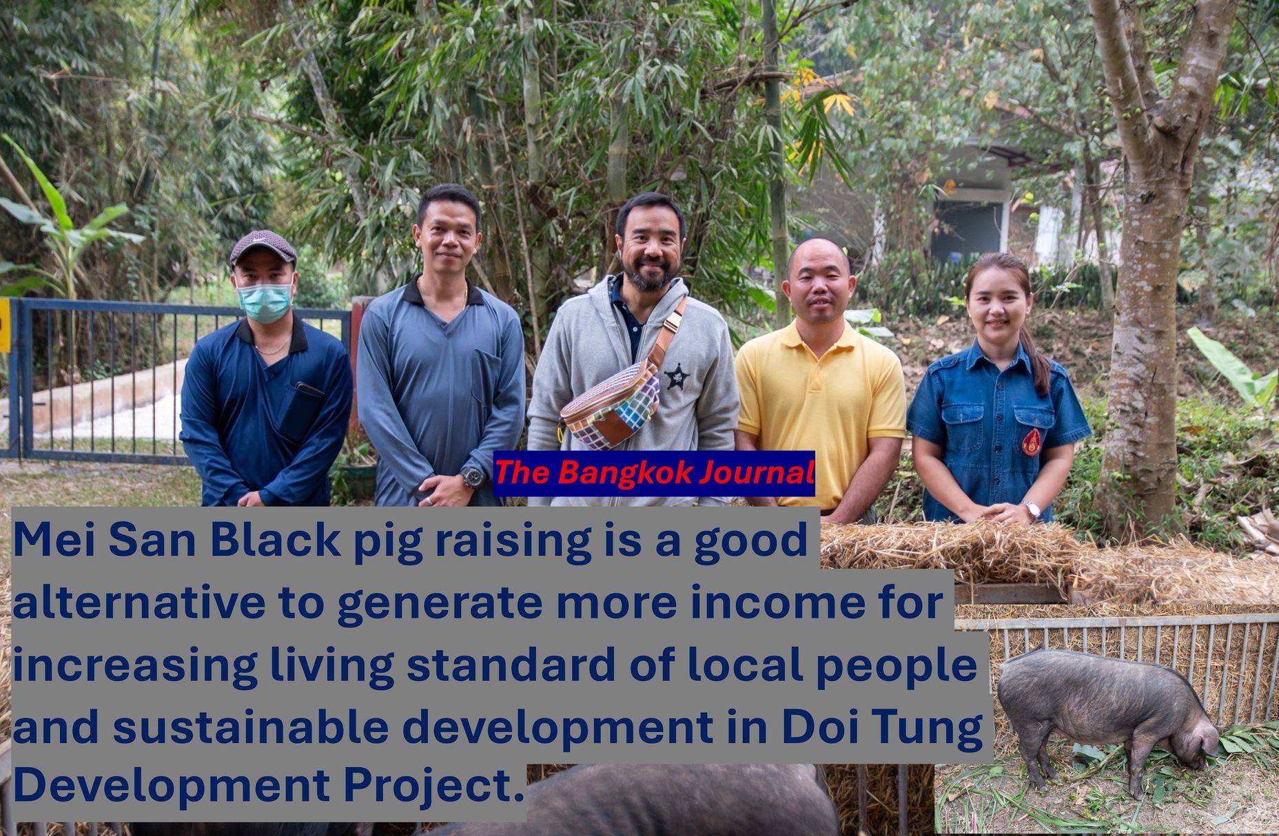 Sustainability / Doi Tung pig farming