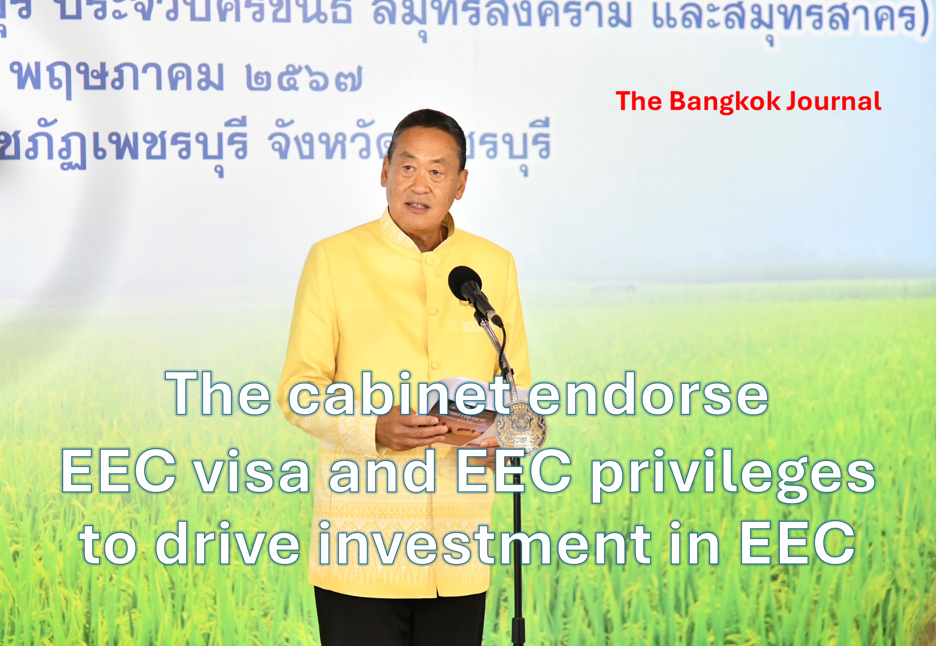 Investment/EEC visa and privileges