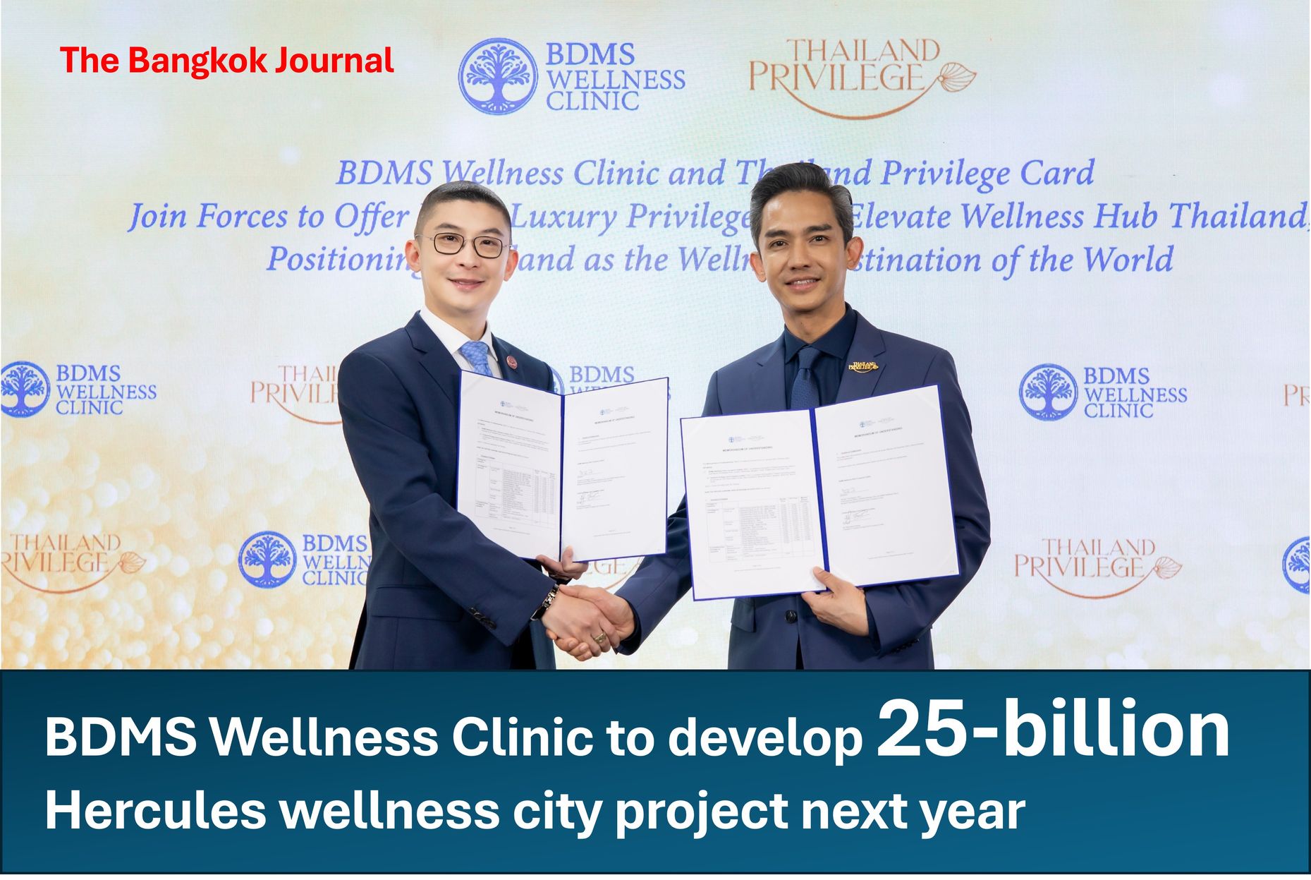 Wellness industry/BDMS Wellness Clinic